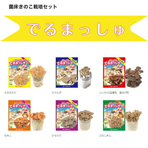 �y���������z�ۏ��L�m�R�͔|�Z�b�g�@�ł�܂�����@���������@�Ȃ߂��@����񂬁@�ԂȂ��߂��@���̂������@�Ђ炽���@�ƒ�؉��@���̂��͔|�L�b�g�������� �͔|�L�b�g�@�L�m�R�@���̂�