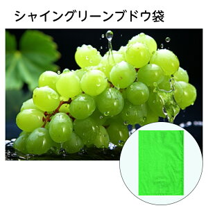 ʎ܁@218mm×315mm@VCO[uhE @100@2S2H@ʎp | ʕ  Ԃǂ  h