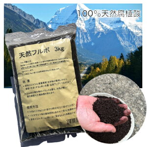 yyVX[p[SALE^20OFFzVRt{ 3kg 100%VRA_ t{_ yÂ n͉ AQy P ƒ؉ ~loX   K[fjO | JAS t{ _ 