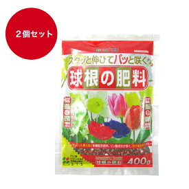 【送料無料2個セット】花ゴコロ 球根の肥料 400g　チューリップ　スイセン　ヒヤシンス　アマリリス　カラー　グラジオラス　ダリア　クロッカス　お買い得