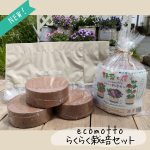 炭炭͔|Zbg ecomotto GRbg GRv^[ SDGs ܍͔| Aؔ   n[u