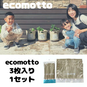 ecomotto GRbg GRv^[ 3Zbg SDGs ܍͔| Aؔ   n[u