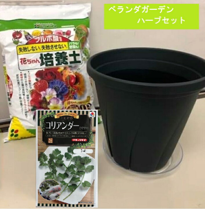 楽天市場 おうちでハーブ作り ベランダガーデンセット プラ鉢と培養土とお好きな種を選ぶセットです コリアンダー パクチー ジャーマンカモミール イタリアンパセリ チャイブ スイートバジル 種と苗の店 グリーンサム