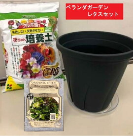 楽天市場 レタス ミックス ガーデニング 農業 花 ガーデン Diy の通販