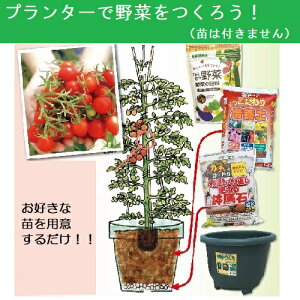 プランター 野菜 苗 培養土 用土の人気商品 通販 価格比較 価格 Com