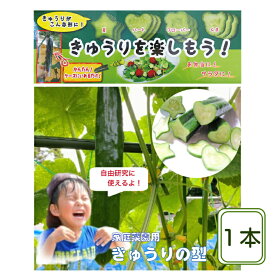 [送料無料]きゅうりの型 作成キット 星/ハート/クローバー/くま 家庭菜園 お弁当 サラダ きゅうりのデコお買い得 デコきゅう きゅうりの型 キュウリの型 型抜き ぬき型 弁当 料理型 自由研究 抜き型 抜型