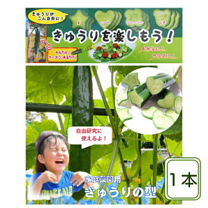 ySALE^zzc킸Iイ̌^ 쐬Lbg /n[g/N[o[/ ٓ ٓ fR L Ă ʎqĂ fR[Vイ T_ イ̃fR fRイ 