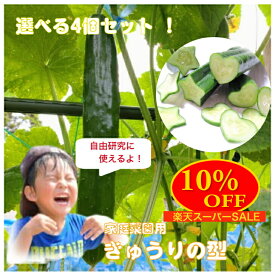 【楽天スーパーSALE 10%OFF】[送料無料 選べる4個セット]キュウリの型( ハート クローバー星 くま)家庭菜園 お弁当 作成キット きゅうりのデコ デコきゅうり きゅうりの型 デコきゅう 型抜き ぬき型 抜き型 抜型 自由研究