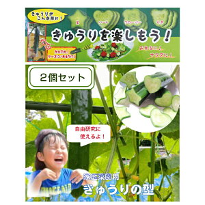 ySALE^zz݌ɌI [2Zbg]イ̌^ 쐬Lbg ( n[g ^N[o[^  ^ ) ٓ ٓ fR L fR[Vイ fRイ fRイ n[g^