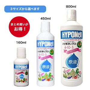 m܂ƂߔnnC|lbNX Apt t ʃAbv i  aCɋAĂ t̔엿 S _ _ ƒ؉ | K[fjO    Ԗ  Ő