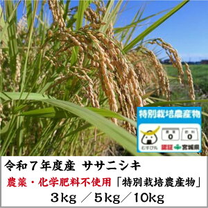 yV TTjVLzĂׂ܂I _Ew엿sgpIuʍ͔|_Yvߘa7NY 񂿂̃TTjVL  3kg 5kg 10kgΊ _  S S R_