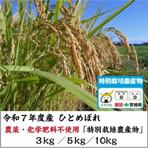 yV ЂƂ߂ڂzĂׂ܂I _Ew엿sgpIuʍ͔|_Yvߘa7NY 񂿂̂ЂƂ߂ڂ 3kg 5kg 10kg   S S  R_@ {