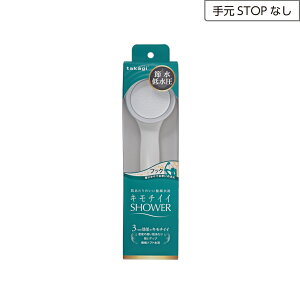 yȃN[|zzz ^JM L`CC V[ WT f ᐅ^Cv JSA022 y V[wbh f  f q V[ ߐ   takagi S2Nԕۏ z