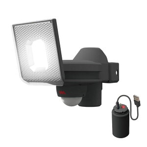 lZT[Cg O hƃCg TV RITEX 5W×1 XCh^LED[dZT[CgiLED-RC810j [d LEDCg  K[W Ɩ hƃObY