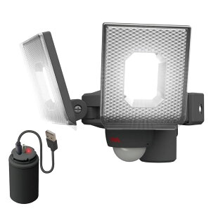 TV RITEX [d 5W×2 XCh^ LED ZT[Cg LED-RC820 y lZT[Cg O hƃCg hƃObY ZLeB Ɩ  Ԍ GNXeA CebNX MUSASHI z