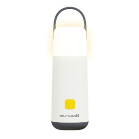 ムサシ RITEX 充電式 ミニランタンプラス 懐中電灯 RL-01 【 防犯ライト 防犯グッズ セキュリティ 照明 玄関 車庫 エクステリア 防災 ライテックス MUSASHI 】