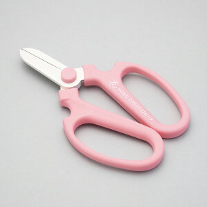 ΂ ⌹ nhNG[V L[g F-Cute   nT~  ͂ lC  XeX Trɂ   t[AWg K[fjO | }