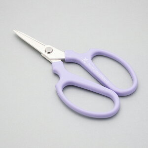 ⌹ {  ~jNG[VF Mini-F tbfH y  | K[f K[fjO t[ AWg    ΂ Ԃ΂ } nhNG[V 