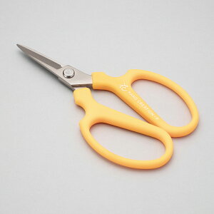 yȃN[|zzz ⌹ {  ~jt[CN Mini-F tbfH y  | K[f K[fjO t[ AWg    ΂ Ԃ΂ }