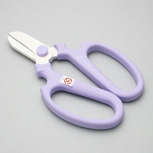 yLINEo^200~OFFz ⌹ nhNG[V p n F170   nT~  ͂ lC  XeX Trɂ   t[AWg K[fj