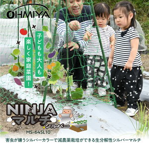 yLINEo^200~OFFz NINJA}` 10m 95cm 0.014mm Vo[ y 𐫃}`V[g yɊ҂ ɗD psv |}` Gh~ n 엿oh~ ؍͔|p TXei