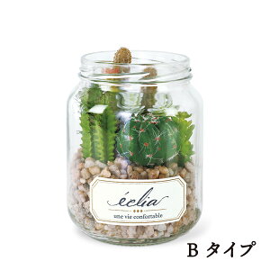 yȃN[|zzIz Eclia GNA y tFCNO[ ϗtA CTG}H C L R h sv sv lHϗtA CeAO[ A  i`