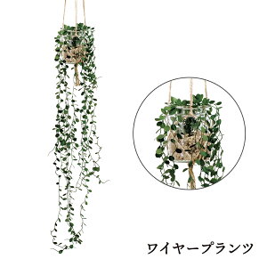 yLINEo^200~OFFEbsOz Eclia GNA Ǌ| y tFCNO[ ϗtA CTG}H C L R h sv sv lHϗtA CeAO[ A 