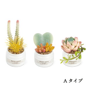 yȃN[|zzIz Eclia GNA 3Zbg y tFCNO[ ϗtA CTG}H C L R h sv sv lHϗtA CeAO[ A 