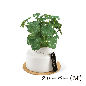 yLINEo^200~OFFEbsOz Eclia GNA y tFCNO[ ϗtA CTG}H C L R h sv sv lHϗtA CeAO[ A  