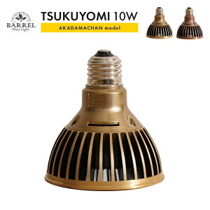 �yBARREL���K�i�zTSKUYOMI 10W AKADAMACHAN model�i�c�N���~ �A�J�_�}����񃂃f���j �A���琬LED���C�g �S�[���h �u�����Y �d��E26 �F���x4000K~5000K �A�N�A���E��