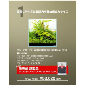 【ADA正規品】【セット品】 アクアデザインアマノ キューブガーデン(W300×D300×H300mm) アクアスカイRGBベーシック300 CO2アドバンスシステムフォレスト パワーサンドベーシックS 1L アクアソイルアマゾニアPRO