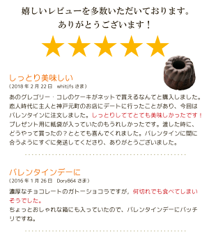 レビュー