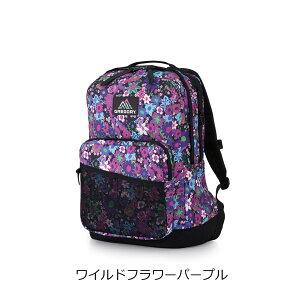 y|Cg10{11/1(y)X^[gIzyz OS[ [ LpXfCL CAMPUS DAY L fB[X Y fCpbN(bNTbN) NVbN ] GREGORY Gf (ubN)