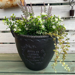 観葉植物 多肉植物 寄せ植え プランターの人気商品 通販 価格比較 価格 Com