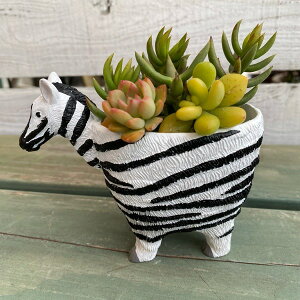 [iւSALE][40%OFF][u|bg i5E4069j~jv^[EW/Jg[G݁EK[fjOEEWNK[fEAEԁE񂹐AEϗtAET{e/