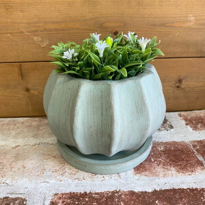 h[v{EM O[iTL290jMtv^[/EJg[G݁EԁEAET{eECeAErOEցEWNK[fEEMtg/v[g/