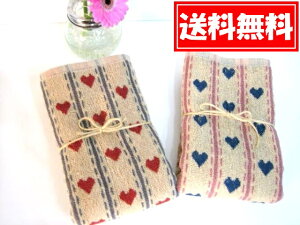 Jg[n[g̃tFCX^IFႢ2Zbgi[xj Pȉꍇ䂤pPbg(3cm)/Mtg/v[g/zCgf[/̓/̓@HG-11AHG-12