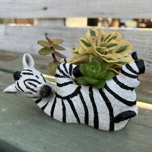 [iւSALE][45%OFF]V}E} |bg NVF[u|bgi5E4143j/Aj}///~j/v^[//O/W/Jg[/G/K[fjO///K[fjO/