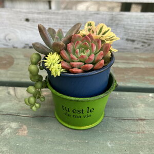 [iւSALE][45%OFF]oPc |bg \[|bg u[i5E4198j/~j/v^[//O/W/Jg[/G/K[fjO///K[fjO/A//񂹐A