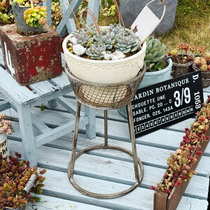 [Gg[Ń|Cg10{ 11/20 20`]ACA t[X^hS i63431jv^[X^h/ԑ/֎q/O//`FA/킢/G/CeA/GNXeA/ObY/K[fj