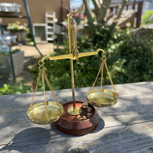 [Gg[Ń|Cg 7{ 12/4 20`]ANTENTICO oXSino.62929j STCY/V/ʂ/posh62929/Jg[G݁EAeB[N/|bVrO/POSH LIVING/Mtg/v[g/zCgf[/