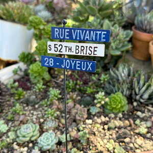 B@sbNBL u[ (5E3863) K[fsbN/I[ig/ANZT[/K[fjO/G/ObY/Mtg/sbN/Jg[G///v^[sbN/킢/GNXe