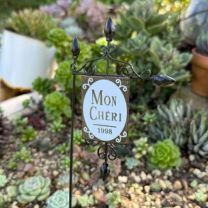 ueBbNsbNB ubN(5E3870) K[fsbN/I[ig/ANZT[/K[fjO/G/ObY/Mtg/sbN/Jg[G///v^[sbN/킢/GNX