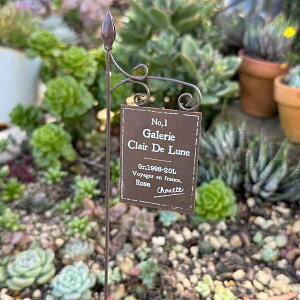 K[sbNB ubN(5E3737) K[fsbN/I[ig/ANZT[/K[fjO/G/ObY/Mtg/sbN/Jg[G///v^[sbN/킢/GNXeA/