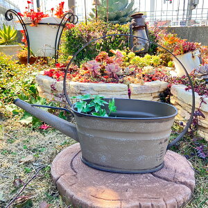 W[^uLv^[ ~GW[BE x[W (UN2182) WE^/nMO/݂艺/Ǌ|/K[fjO//Mtg/v[g//O//Aؔ//ϗtA/