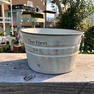 t uLv^[ (a19cm) ktHEhGY O[ (MA2509jی^/~^//O/v^[/K[fjO/Aؔ/WNK[f/A//񂹐A/ϗt