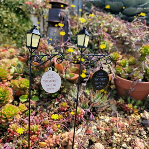 [Gg[Ń|Cg5{ 11/4 20`]yz^v[gsbNS (5E3919/5E3920) zCg ubN K[fsbN/I[ig/ANZT[/K[fjO/G/ObY/Mtg/sb