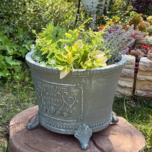 tv^[ OWT[N SGY O[ (GF4901) Aؔ/CeA/ϗtA/Jg[/FV/OXt@Co[/v[g/Mtg/킢/WNK[f/K[fjO/