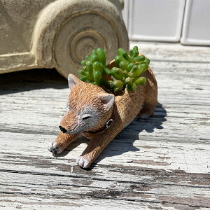 Č^̃~jv^[ GeBV|bg (5E4361) K[fjO/Mtg/v[g//킢//Aؔ//ϗtA/A/CeA/VoCk/