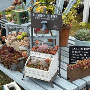 ֌`[t [^bvX^h B (UN2269) ubN t[X^h/CeA/ϗtA/Jg[/FV/TIN/uL/v[g/Mtg/킢/WNK[f